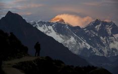尼政府任命77名高山联络官；65名中国登山者获珠峰许可