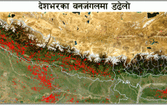 नियन्त्रणबाहिर आगलागी र डढेलो