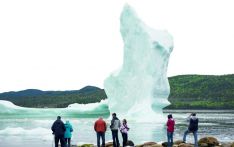 加拿大纽芬兰岛，我遇到“冰山一角”