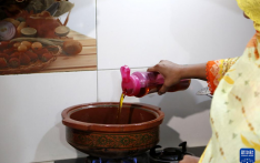 巴媒：中国农技助巴基斯坦实现食用油自给自足