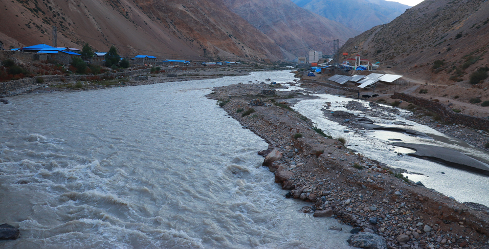 hilsa,-humla-Rajan-(3)-(1)