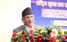 PM Prachanda announces to institute innovation fund for IT sector expansion