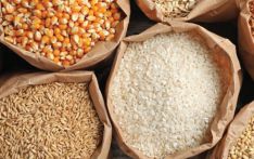 Cereals import drops by 15% in nine months of FY 2023/24