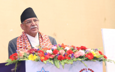 Government sensitive for promoting citizens' health: PM Prachanda