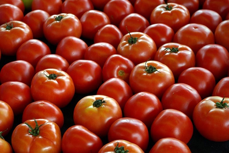 6d97f250-farm-market-tomatoes-3612971_960_720-800x535