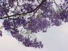 IMG_6146