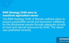 RNR Strategy 2040 aims to transform agriculture sector
