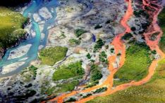 研究：美国阿拉斯加数十条河流颜色变橙，可能与永久冻土融化有关