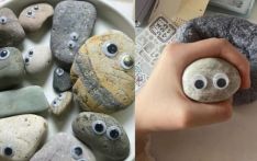 韩国年轻人流行养“宠物石头”