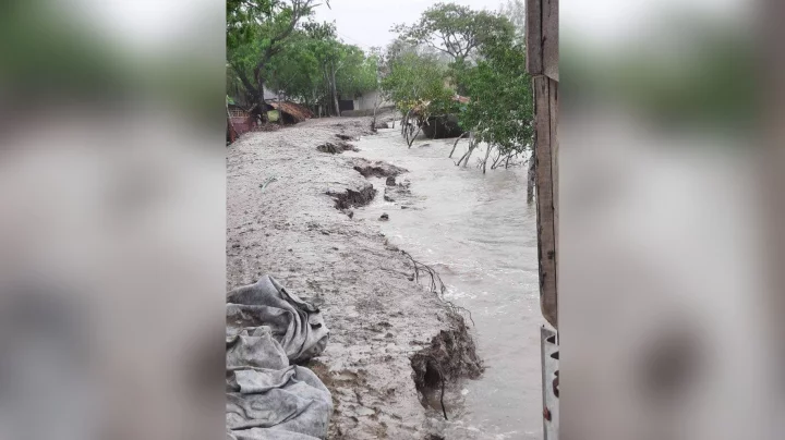 Sundarbans protects Khulna, mitigates Cyclone Remal damage