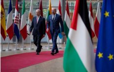 欧洲三国正式承认巴勒斯坦国 骨牌效应或在欧显现