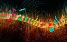 头脑如何区分音乐和语言？