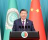 Xi urges greater efforts to build China-Arab community with shared future