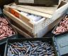 SL refutes reports of move to sell surplus ammunition to Ukraine via Poland