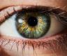 Sri Lankan eyes to Pakistan, 36,000 corneas donated