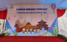 中国驻尼大使馆举办“六一”国际儿童节庆祝活动