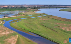 Scenery of Yellow River in Yinchuan, NW China