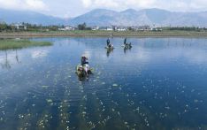 China's ecological environment improves in 2023 with progress on air, water quality