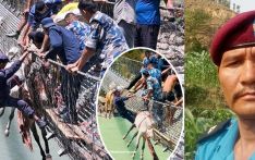 Brave ASI Pharal risked his life to save 13 mules trapped on Karnali bridge