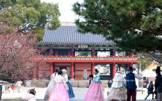 “不文明行为成过去式！”韩媒：访韩中国游客形象正逐渐改变