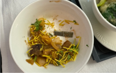 印度航空一乘客在飞机餐中吃出刀片 航空公司称来自切菜机