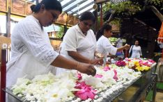 Religious observances on Poson Poya