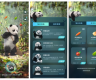 能聊天、懂科普 全球首只全真大熊猫入驻QQ浏览器