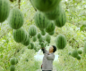 In pics: summer harvest across China