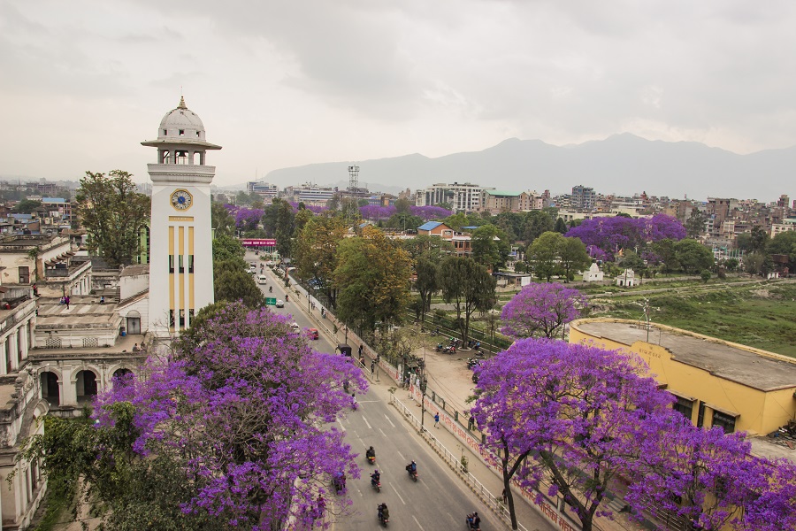 Ghantaghar_and_Jacaranda