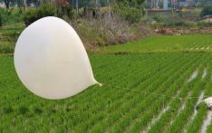 Wind shift raises concerns over North Korean trash balloon launches