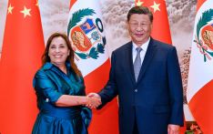 China ready to advance comprehensive strategic partnership with Peru to new heights: Xi