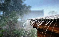 Monsoon to become more active in next few days