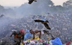 For India's garbage pickers, a miserable and dangerous job made worse by extreme heat