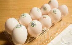 给蛋“定性别”，日本有了新方法