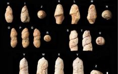 美国开了家“动物粪便博物馆”，陈列远古时代动物粪便化石