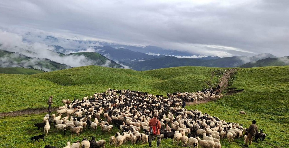 HKC-Jajarkot-dhele