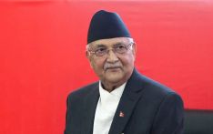 Govt. will adopt policy to encourage private sector: PM Oli