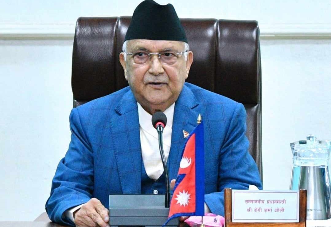 PM-oli