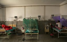 Hospitals in mountain districts struggle to cope with dengue surge 