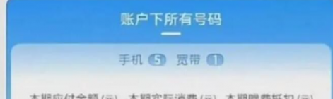 中国电信境外上网无封顶：在尼泊尔发朋友圈流量费一万六