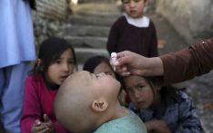 The Taliban have suspended polio vaccination campaigns in Afghanistan