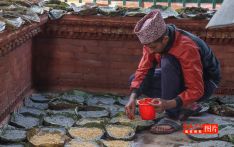 Bada Dashain begins, Ghatasthapana today