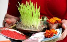 Vijaya Dashami being marked today