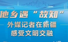 第六届世界媒体峰会丨他乡遇“故知” 外媒记者在新疆感受文明交融