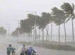 Trees uprooted in Odisha amid winds and heavy downpour as Cyclone Dana makes landfall