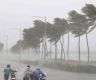 Trees uprooted in Odisha amid winds and heavy downpour as Cyclone Dana makes landfall