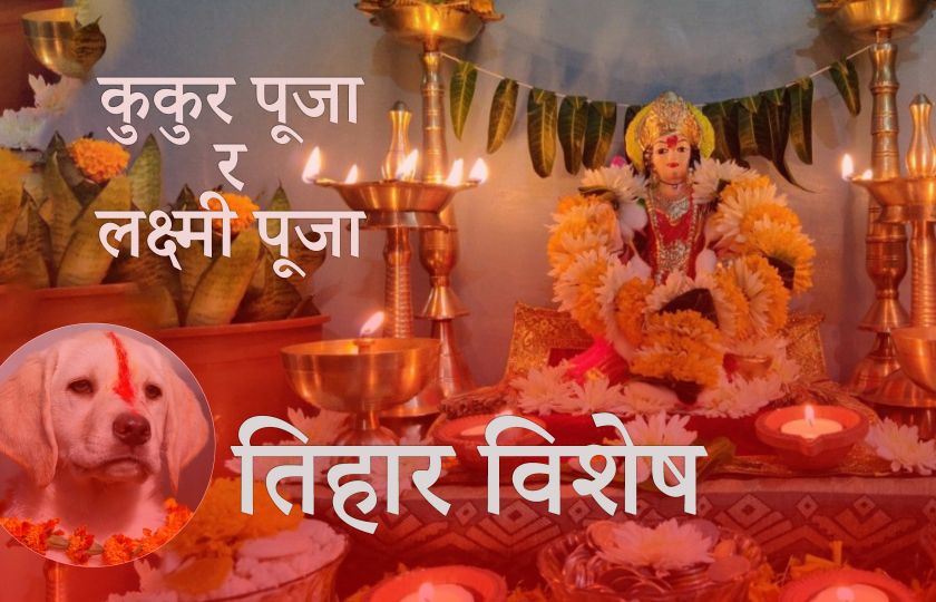  तिहारको तेस्रो दिन कुकुर पूजा र लक्ष्मी पूजा गरी मनाइँदै