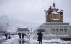 遭遇百年罕见大暴雪，韩国首都圈乱成一团