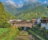 Chinese wooden arch bridges gain global focus