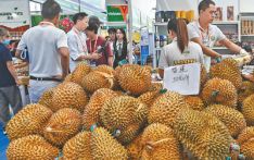 港媒：中越经济关系迎来丰硕之年